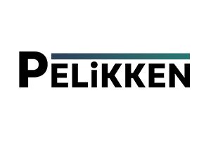 India’s Digital Transformation-Pelikken