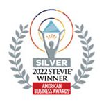 winning-in-the-digital-age-silver-winner-stevie
