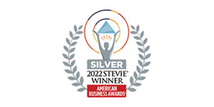 winning-in-the-digital-age-silver-winner-stevie